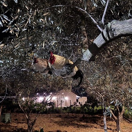 Le Potager Otel Quartu SantʼElena Dış mekan fotoğraf
